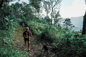 BIB: 
                            <button type="button" onclick="openModal(25656419)" class="btn btn-primary btn-sm float-right btn-popup" data-toggle="modal" data-target=".modal-high-quality">
                        <i class="fas fa-shopping-cart"></i> Add to Cart
                    </button>
                                            <button type="button" onclick="isThisMe(25656419, true)" class="btn btn-success btn-sm float-right btn-popup btn-isme hidden" data-toggle="tooltip" data-placement="bottom" title="นี่คือรูปของคุณใช่ไหม คลิกที่นี่เพื่อเอาเข้าอัลบั้ม">
                        <i class="fas fa-plus"></i> Add to album
                    </button>
                    <button type="button" onclick="isThisMe(25656419, false)" class="btn btn-warning btn-sm float-right btn-popup btn-isnotme hidden">
                        <i class="fas fa-ban"></i> Remove from album
                    </button>